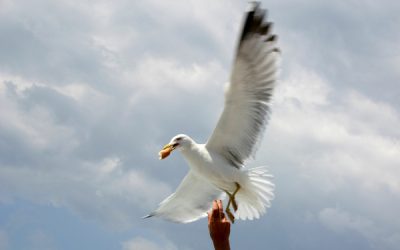 Petty Theft Laws in California