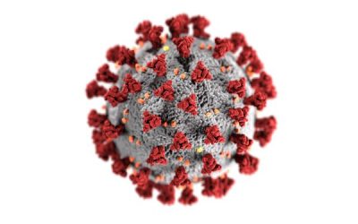 Coronavirus and The LGBT Community