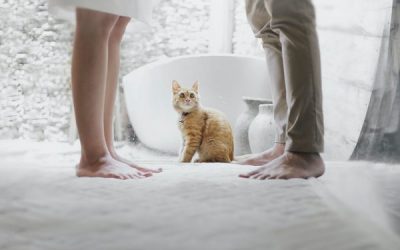 Do I Need a Divorce Lawyer?