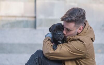 Who Gets The Pets After Divorce?